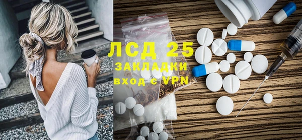индика Алексин