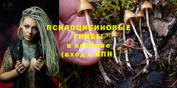 прущая мука Алзамай