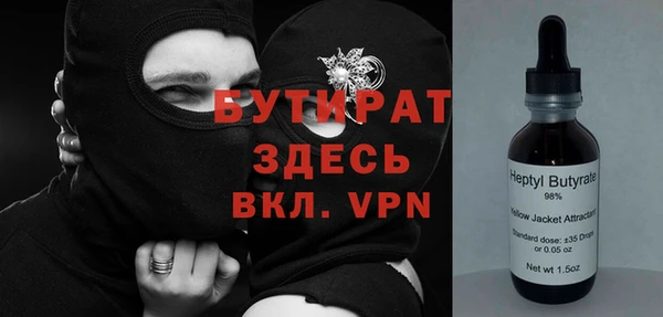 индика Алексин