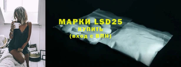 индика Алексин