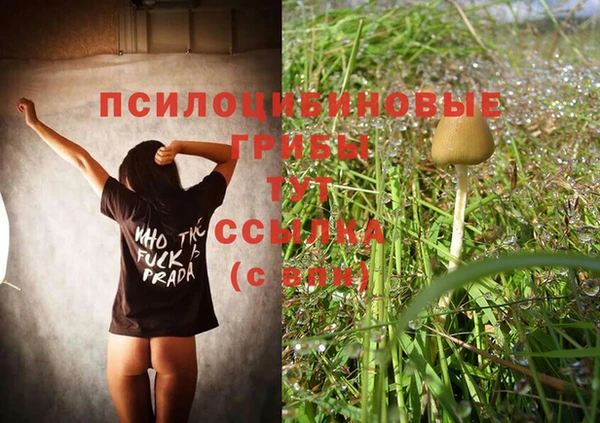 экстази Алексеевка