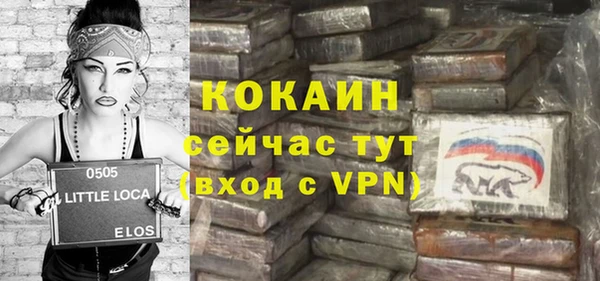 индика Алексин