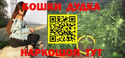 молекула духа Кулебаки