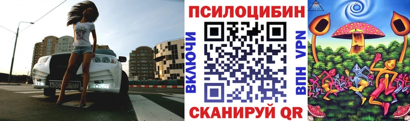 цена наркотик  Донской  Галлюциногенные грибы Psilocybe 